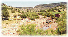 An arroyo outside Santa Fe, New Mexico.