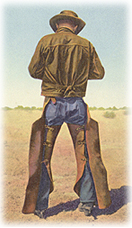 A cowboy on the range wears chaps for protection.